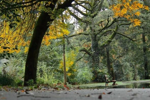 gestion forêt 11.2024.jpg