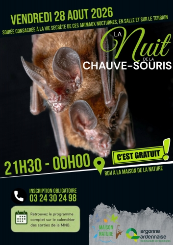 nuit chauve souris 2026.jpg