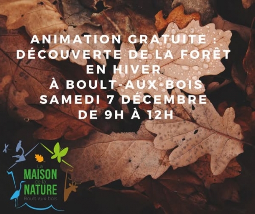 foret en hiver.jpg