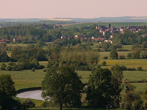 commune,élection municipale,greenpeace,écologie