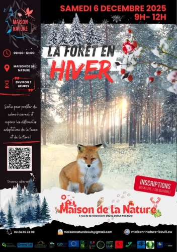 affiche foret en hiver.jpg