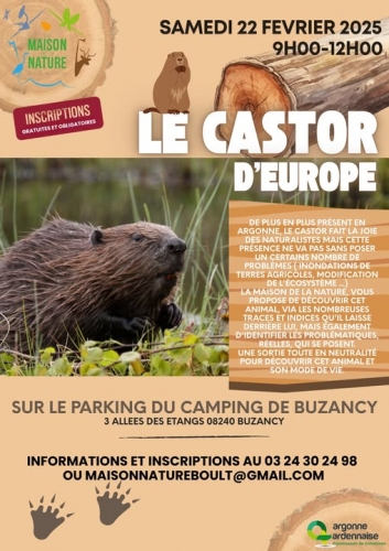 castor 02.2025.jpg